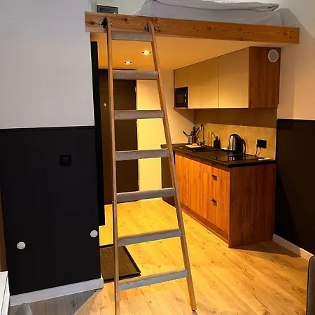 Hostloop -mariacka Lägenhet Katowice